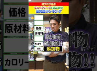 【プロが選ぶ！】キャットフードを選ぶときの優先度ランキング！ ＃子猫 #成猫