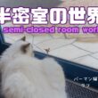 バーマン猫ラフ【半密室の世界】A semi-closed room world（バーマン猫）Birman/Cat
