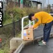 無人駅前で段ボールの中で震える子猫を保護しました
