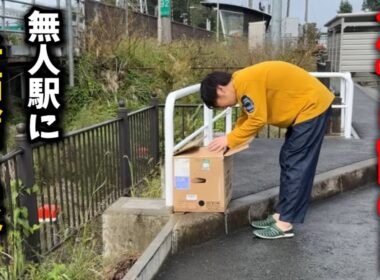 無人駅前で段ボールの中で震える子猫を保護しました