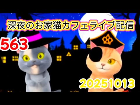 深夜のお家猫カフェライブ配信 ５６３