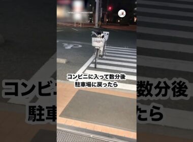 コンビニ行って数分後、戻ったら自転車に猫が乗ってた😳｜PECO