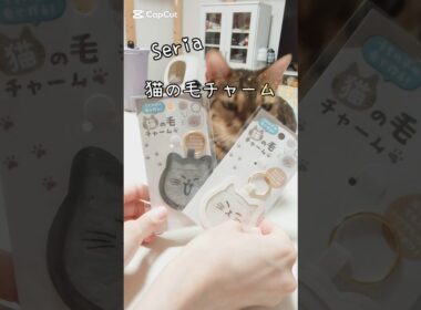 【#Seria 】猫の毛チャーム #猫 #猫動画 #ベンガル #cat #fyp #猫のいる暮らし #shorts #short
