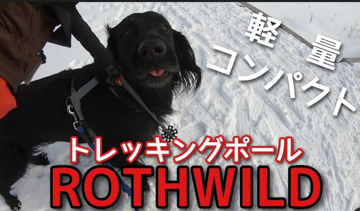 ROTHWILDのトレッキングポールを使ってみた！　スノーフィート＊シーズンⅠ　その３　【フラットコーテッドレトリーバー＃84】