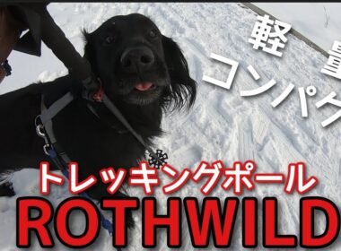 ROTHWILDのトレッキングポールを使ってみた！　スノーフィート＊シーズンⅠ　その３　【フラットコーテッドレトリーバー＃84】