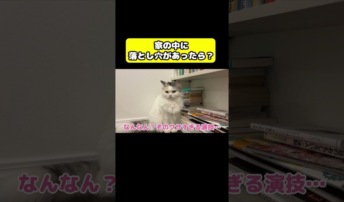 家の中に落とし穴があったら？#猫 #おもしろ #アテレコ #ニャンチューバーつくし