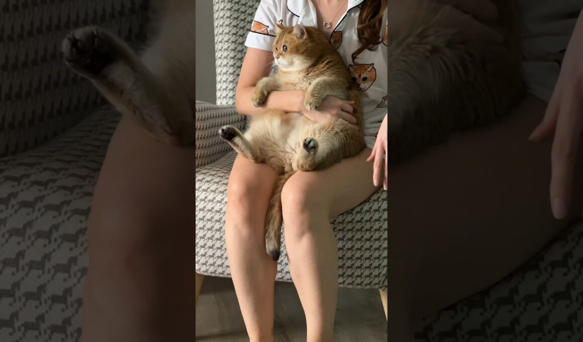 I'm sitting on my knees 👶