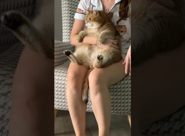 I'm sitting on my knees 👶