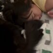 寝ている娘たちの頭に絡みつく猫　ラガマフィン