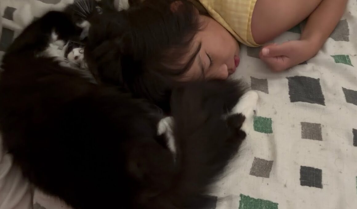 寝ている娘たちの頭に絡みつく猫　ラガマフィン