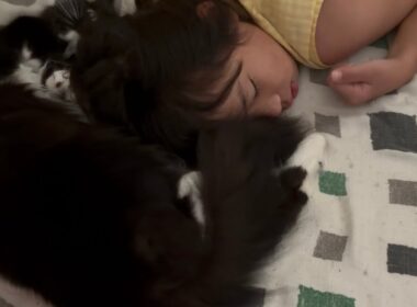 寝ている娘たちの頭に絡みつく猫　ラガマフィン