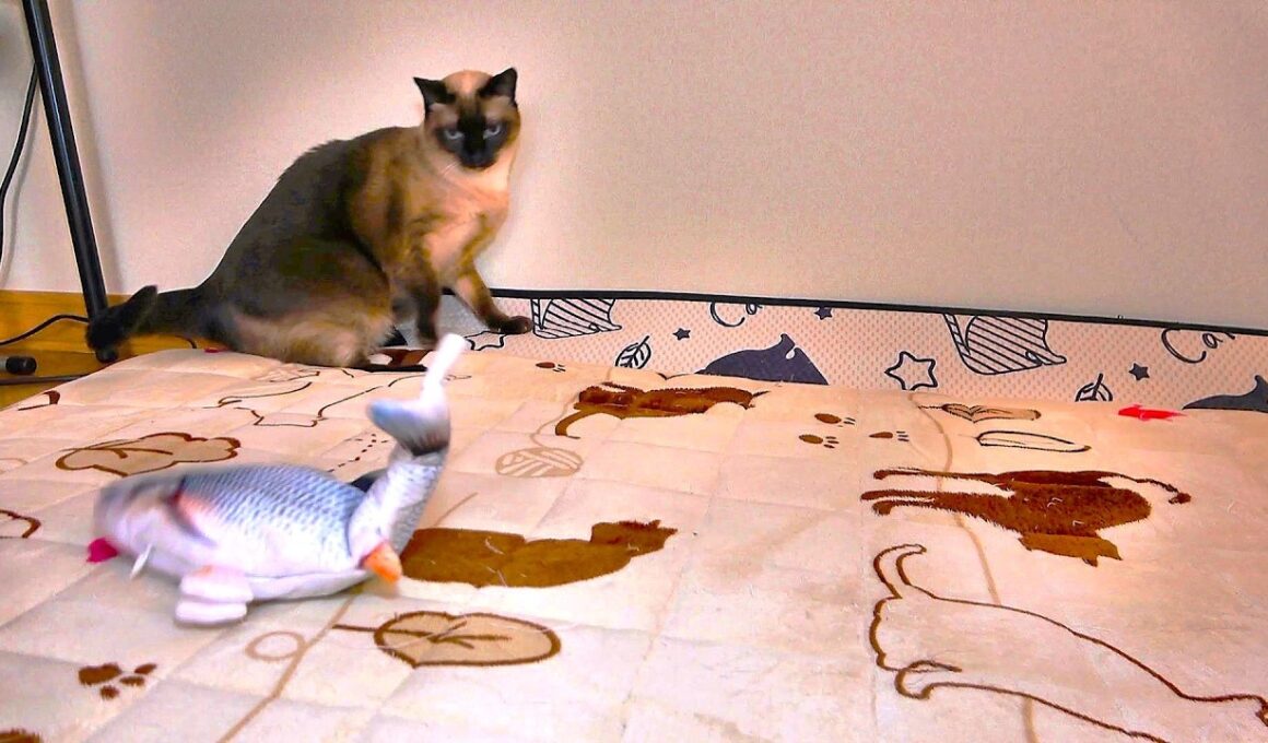 魚が飛び跳ねて！するシャム猫の驚き方が可愛🐟