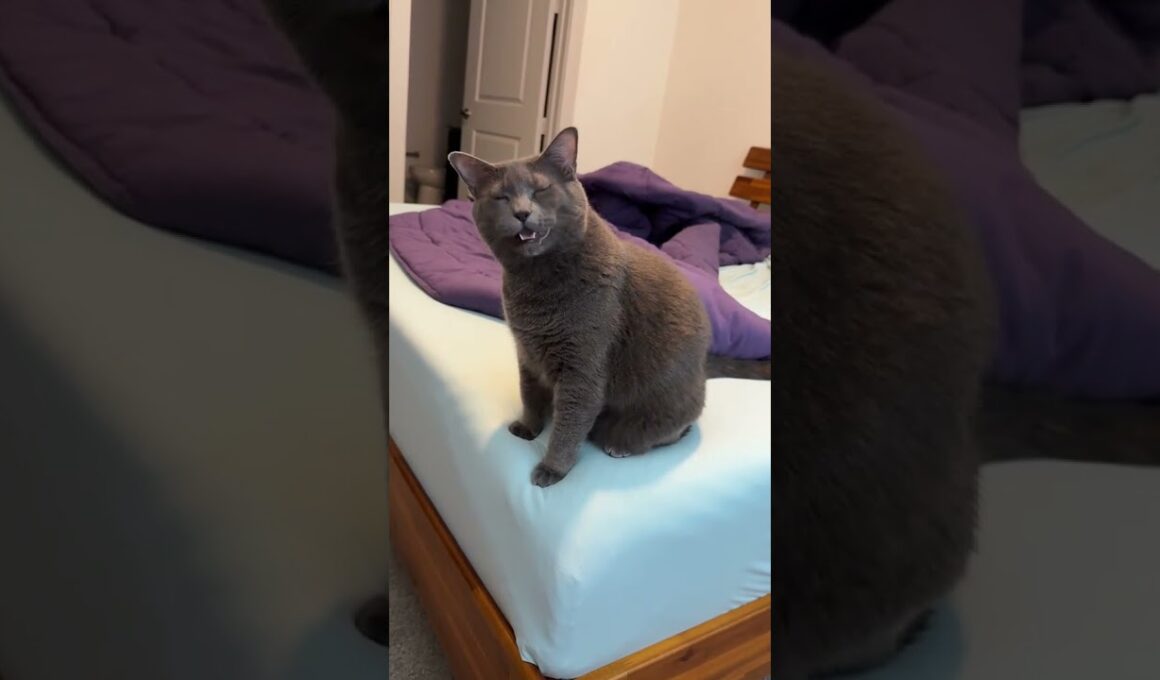 @krelw117: How the little girly asks to be held