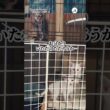 とんでもない顔になる子猫｜PECO