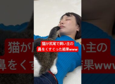 ママの鼻を猫がくすぐったら爆発したwww #shorts #cat