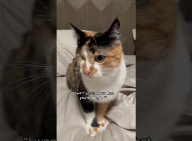 WHO DO YOU THINK TOOK THE NEWS LIGHTLY? #shorts