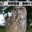 10月17日【匿名質問枠】毎週金曜日の回答・動物トピック