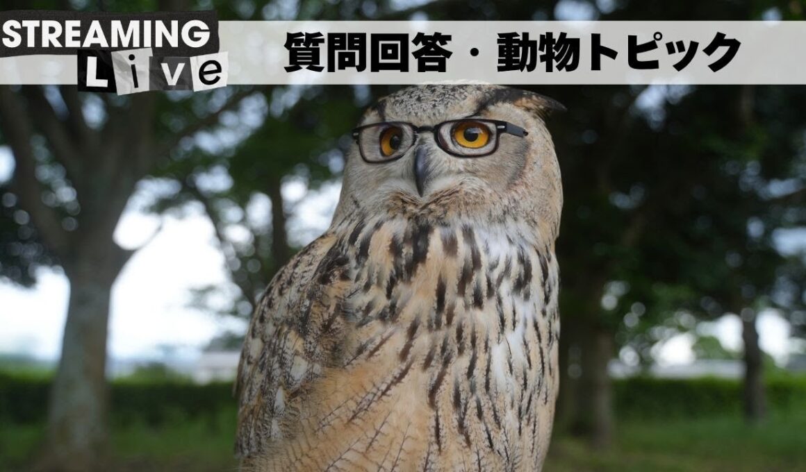 10月17日【匿名質問枠】毎週金曜日の回答・動物トピック
