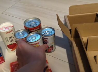 【1370日目】カゴメ #ソマリ #cat