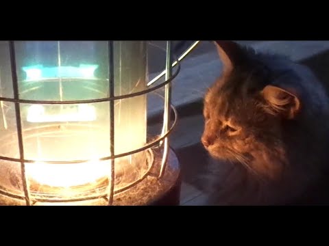 200℃ 猫 ダルマストーブ 石油 ランタン 対流形レンボーストーブ トヨトミ　ソマリ