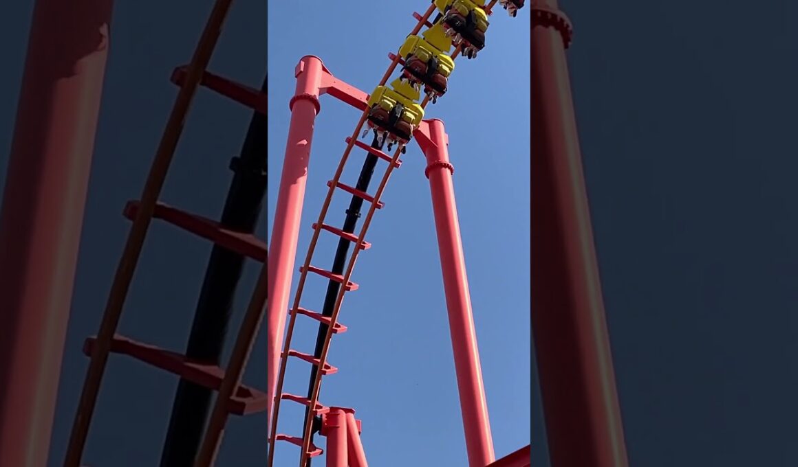 こんなん怖すぎるグリーンランドやばい　#shorts  #絶叫  #グリーンランド