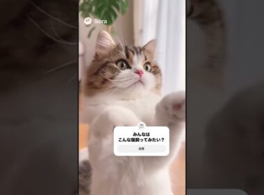 【閲覧注意】日本人の飼う猫が甘え上手すぎる……！！