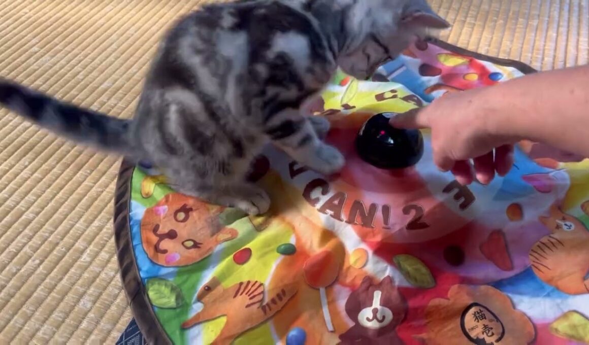 元気に親子で追いかけっこ。楽しそうね。