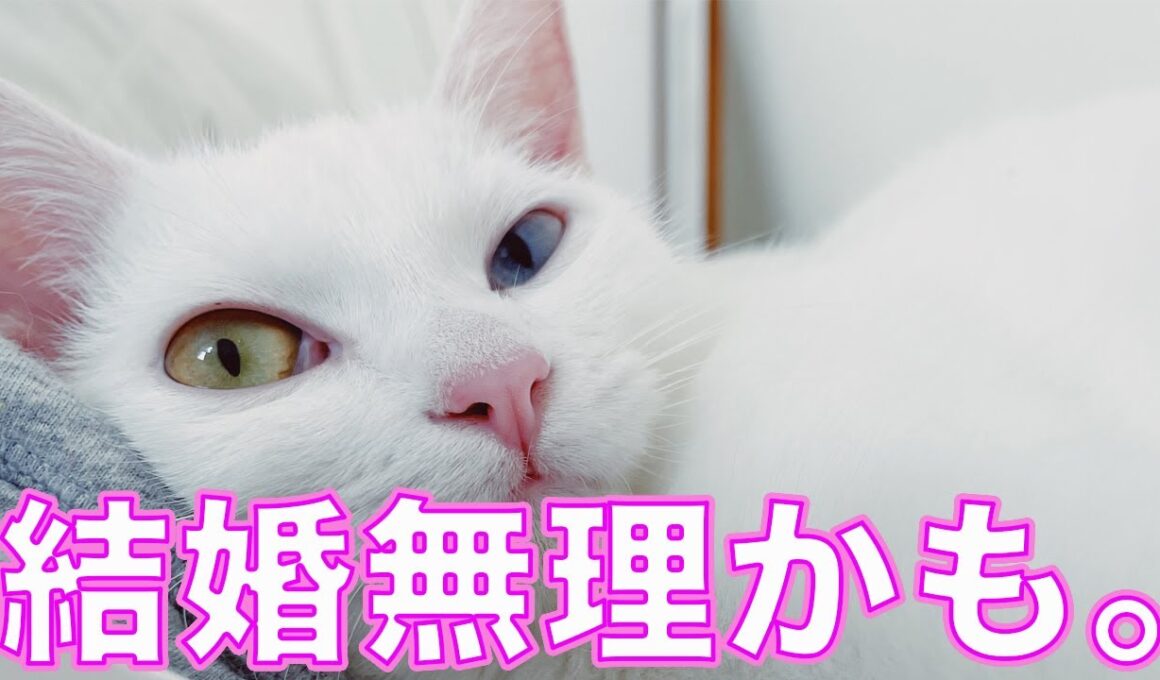 この子を見て思った。「あ、多分結婚できない。」