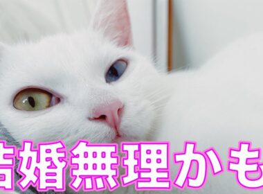 この子を見て思った。「あ、多分結婚できない。」