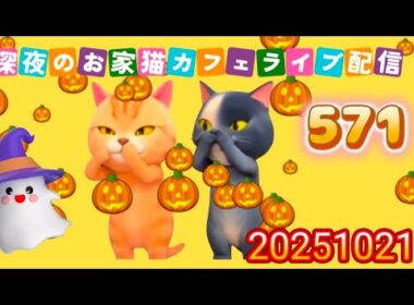 深夜のお家猫カフェライブ配信 ５７１