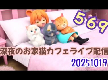 深夜のお家猫カフェライブ配信 ５６９