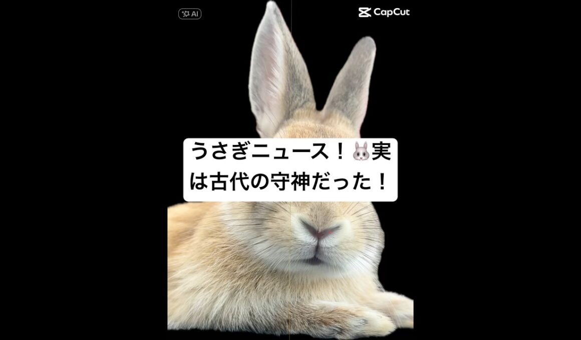 うさぎニュース！🐰実は古代の守神だった！#うさぎのチャーミー #スフィンクス #ピラミッド #神々 #うさぎニュース