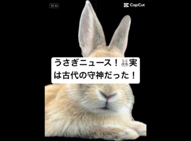 うさぎニュース！🐰実は古代の守神だった！#うさぎのチャーミー #スフィンクス #ピラミッド #神々 #うさぎニュース