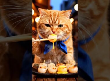 【爆速もぐもぐ】ぽっちゃり猫の食べっぷりが可愛すぎる🐱🍜 #shorts #猫 #食べる猫 #日本