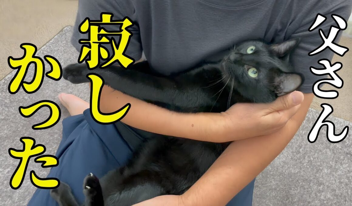 甘えなくなったファザコン元迷い猫が変貌！父がキャンプから帰ったら離れません！