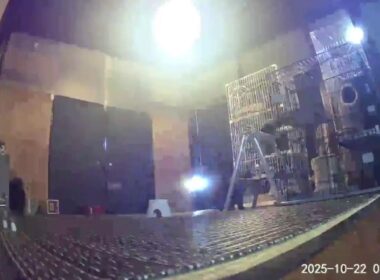 【 cat 】【 toyama 】( 古民家 ) 保護猫部屋 LIVE (それぞれ好きな所で寝て、家庭同様にオヤツも食べ、21時過ぎには主照明を消す、猫達にストレス無いシェルターを心がけています。)