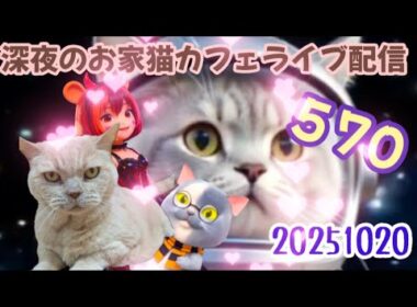 深夜のお家猫カフェライブ配信 ５７０