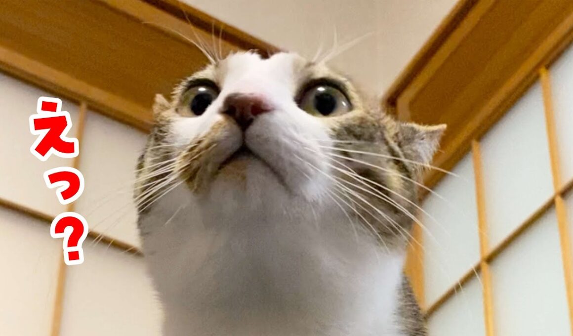 滅多に見れない光景を見てしまいました