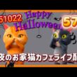 深夜のお家猫カフェライブ配信 ５７２