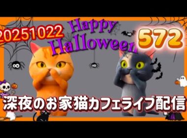 深夜のお家猫カフェライブ配信 ５７２