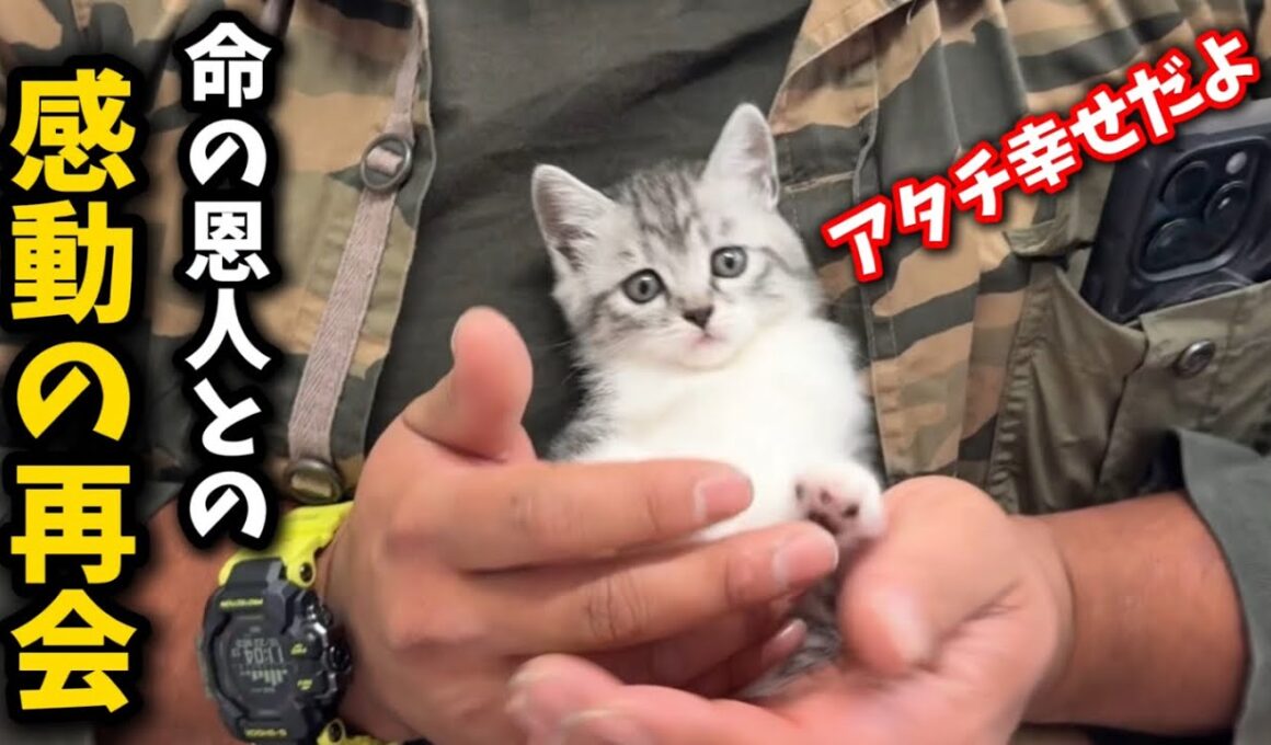 捨てられた子猫の命を救った恩人が会いに来てくれました