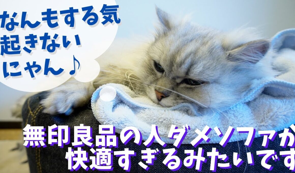 無印良品の人ダメソファが快適すぎるみたいです