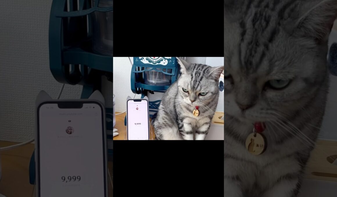 10000❤️ #thankyou #shorts