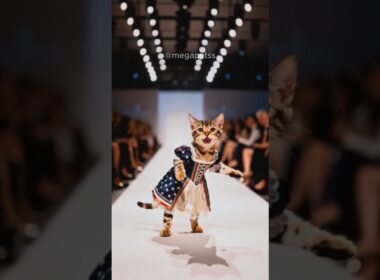 Cat Fashion Show in Traditional American Clothing with an Ocicat #catshorts #ai猫 #meow #catvideos