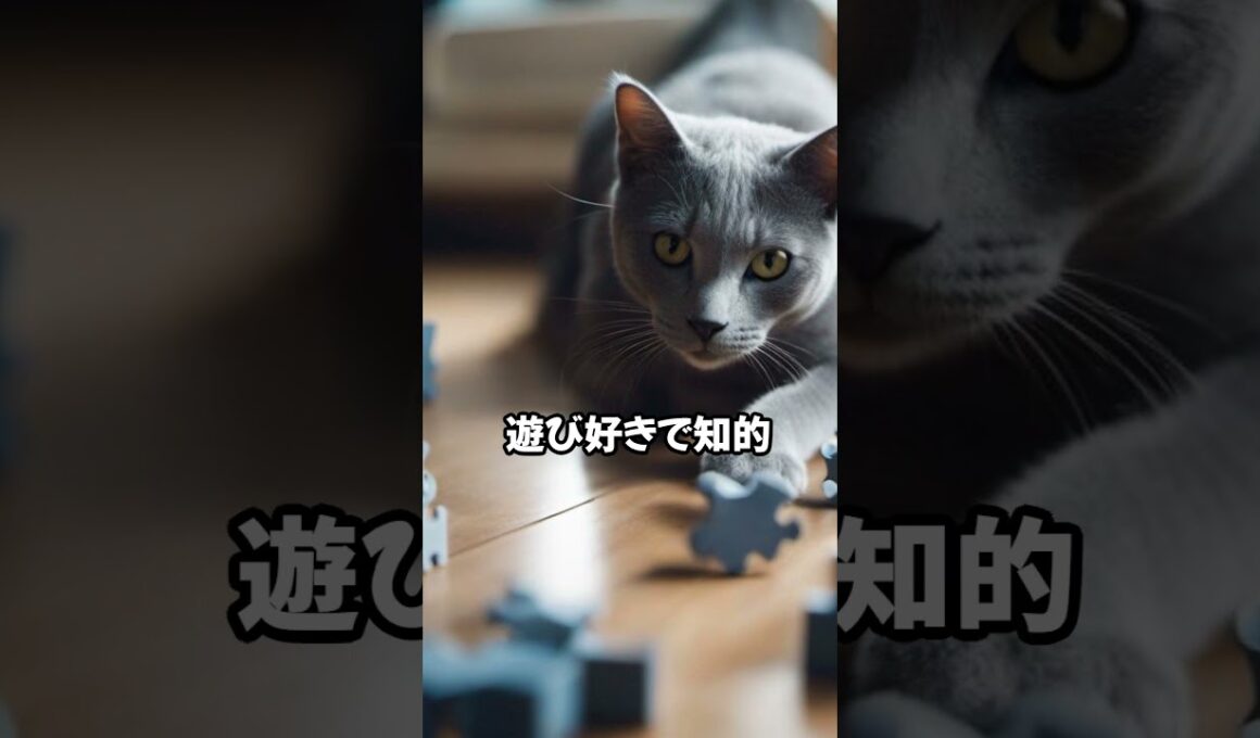 人気の猫 魅力解剖！ロシアンブルーを飼うメリット ベスト5 #shorts