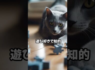 人気の猫 魅力解剖！ロシアンブルーを飼うメリット ベスト5 #shorts