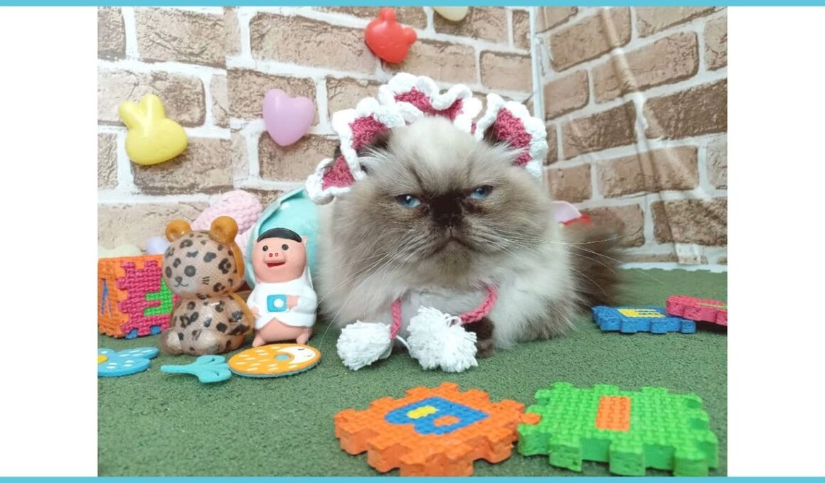 734575 ヒマラヤン