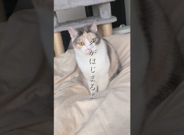 【突然】冬がはじまるよ　＃槇原敬之