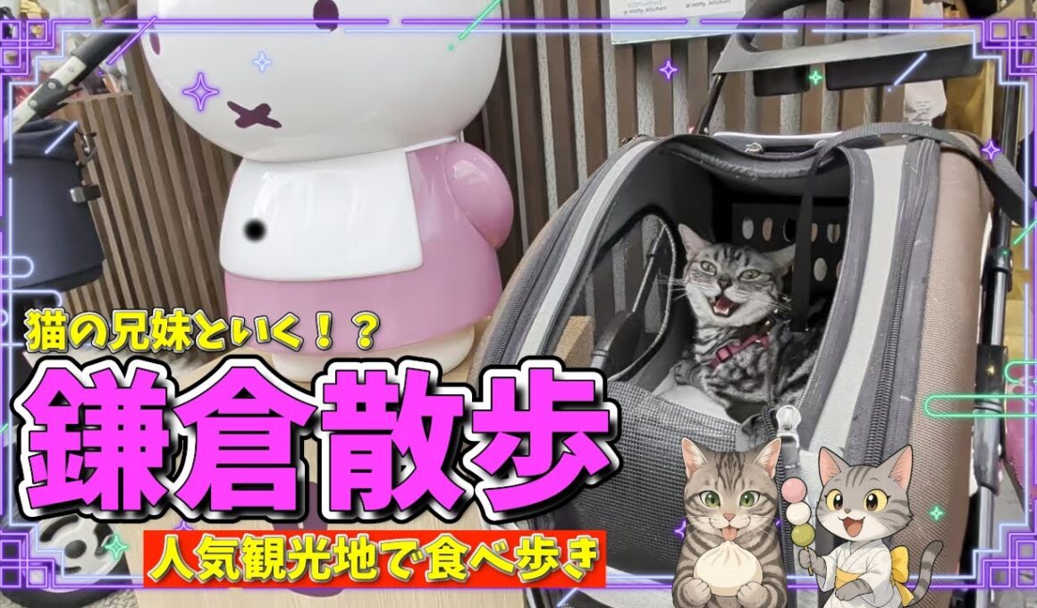 『猫の兄妹と行く☆鎌倉散歩』人気観光地で猫たちが食べ歩き🍡雪ノ下ガーデン & Plusouple 鎌倉本店