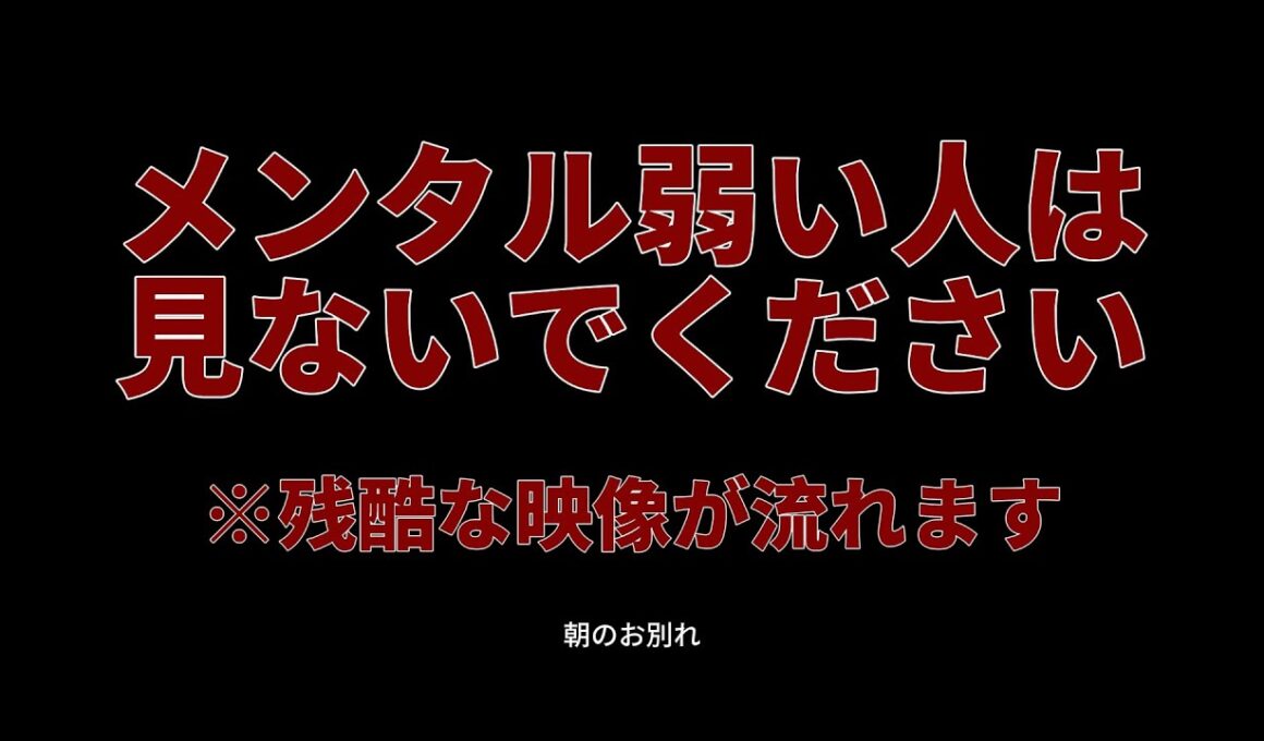 メンタルが弱い人は見ないでください
